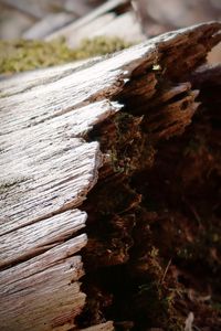 Close-up of logs on wood