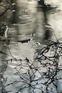 View of tree in the dark