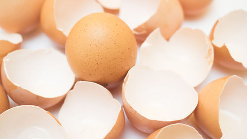 Close-up of eggs against white background