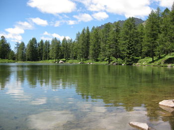 Scenic view of lake in forest against sky