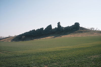 Scenic view of field against clear sky