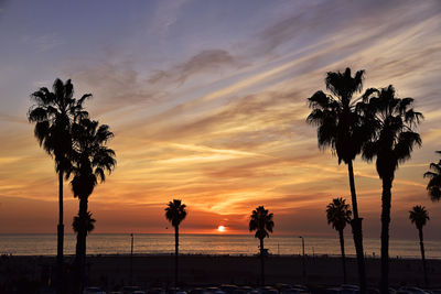 Silhouette of palm trees at beach during sunset