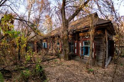 House amidst trees and plants in forest