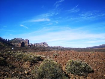 Scenic view of landscape against blue sky