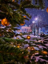 Close-up of christmas tree