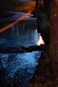 Reflection of trees in lake