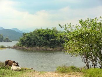 Scenic view of lake against sky