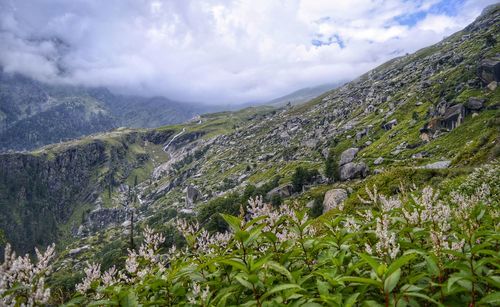 Scenic view of landscape against cloudy sky