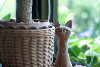 Close-up portrait of a cat in basket
