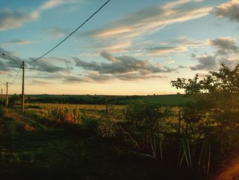 Scenic view of field against cloudy sky