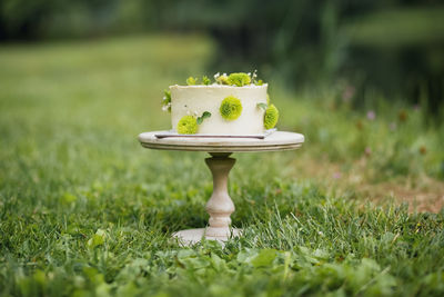 Close-up of cake on field