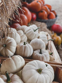 Close-up of pumpkins in market