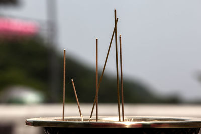 Close-up of burning incenses in container