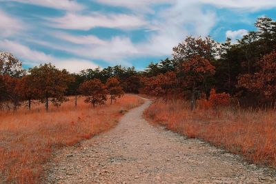 Road amidst trees against sky during autumn