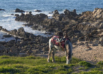 Rear view of woman standing on rock by sea