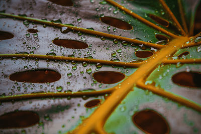 Full frame shot of wet metal during rainy season