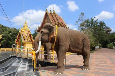 Elephant by water against sky