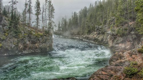 Scenic view of waterfall