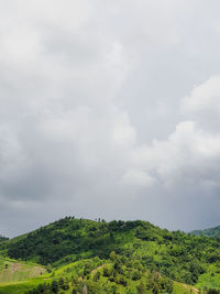 Low angle view of trees against sky