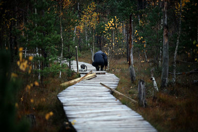 Rear view of man walking on boardwalk in forest