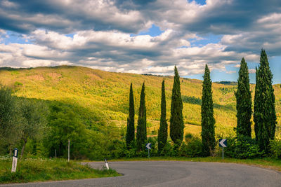 Road amidst trees against sky