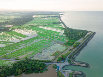 Scenic view of agricultural field by sea against sky