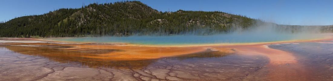Panoramic shot of trees on landscape against sky