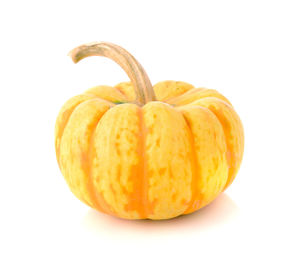 Close-up of pumpkin against white background