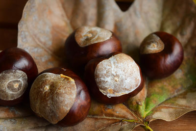 Close-up of chestnuts on leaf