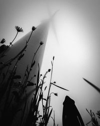 Low angle view of silhouette birds against clear sky