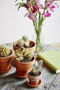 Close-up of potted plants on table at home