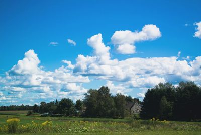 Scenic view of field against cloudy sky