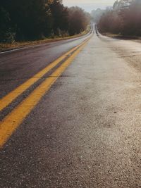Surface level of empty road along trees