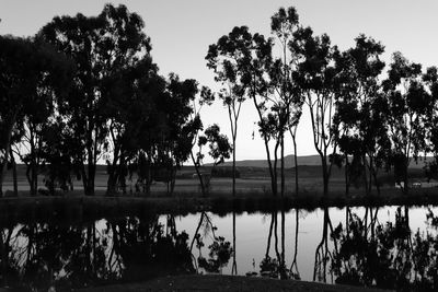 Silhouette trees by lake against sky