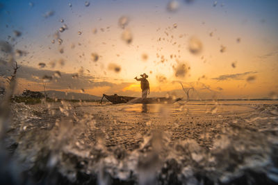 Silhouette of horse on beach during sunset