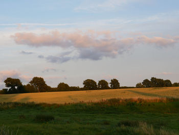 Scenic view of field against sky