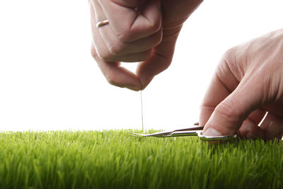 Young man cuts english lawn with a nail scissors