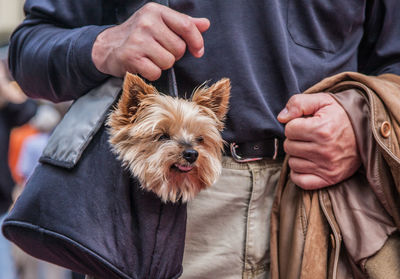 Midsection of man with dog