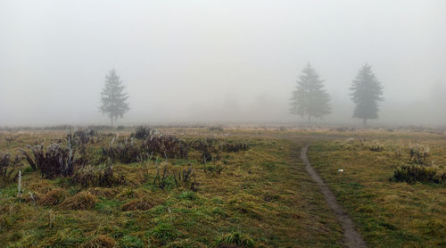 Scenic view of field against sky during foggy weather