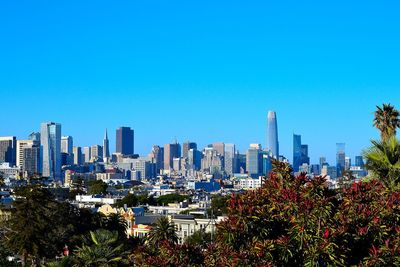 Dolores park views