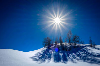 Trees on snow covered landscape against blue sky