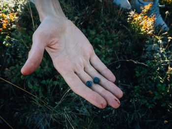 High angle view of human hand on field