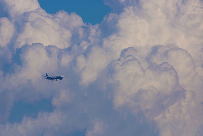 Low angle view of airplane flying in sky