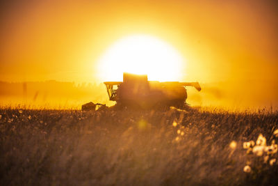 Scenic view of field against sky during sunset