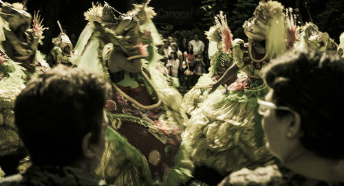 Rear view of people against plants