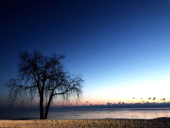 Bare trees on landscape against clear blue sky