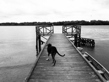 Rear view of man on pier at lake