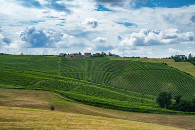 Scenic view of agricultural field against sky