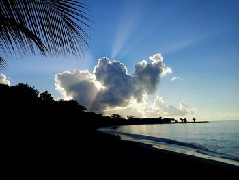 Scenic view of beach against blue sky