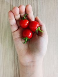 Midsection of person holding strawberries